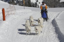 Kandersteg 2013